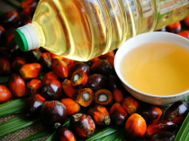 Применение пальмового масла