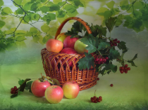 Яблочный спас: история праздника.