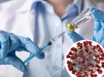 Первая вакцинация от коронавируса назначена на ноябрь 2020 года.