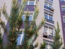 Купить квартиру в Москве выгодно