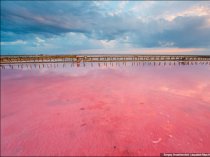 Крымская морская розовая coль