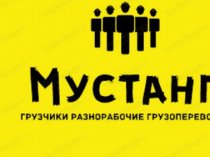 Мустанг 82 Грузчики Разнорабочие Г