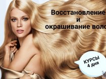 Школа парикмахерского искусства СОФИЯ