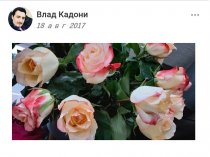 ТАРО РУНЫ Шаман вуду. Потомственны