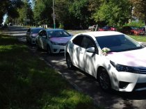 Свадебный кортеж из Toyota Corolla