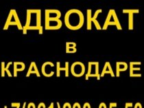 Адвокатский кабинет  "Ильясова  А. А. "